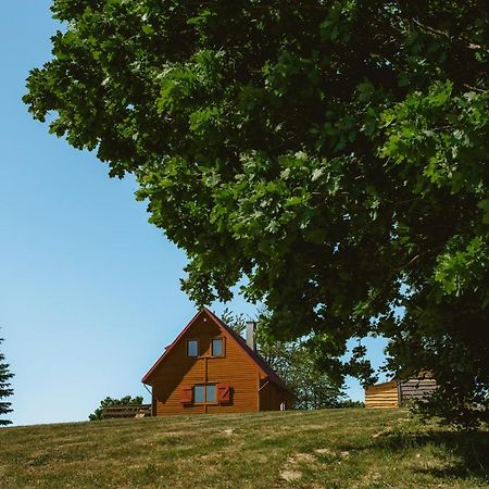 Widokowka Kaszuby Villa Mirachowo Buitenkant foto