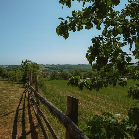 Widokowka Kaszuby Villa Mirachowo Buitenkant foto