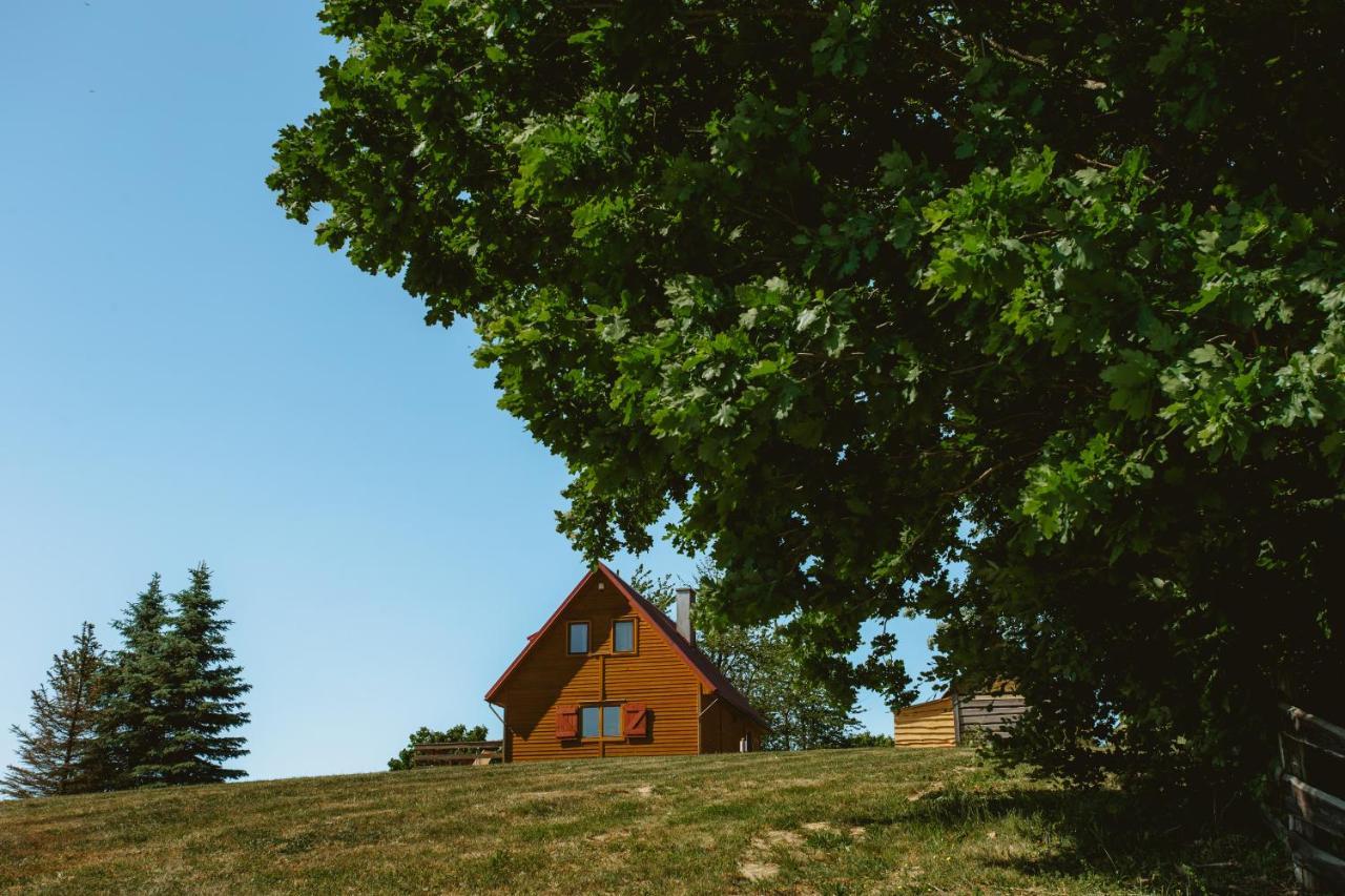 Widokowka Kaszuby Villa Mirachowo Buitenkant foto